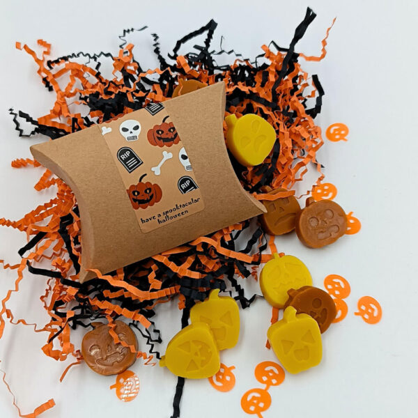 dwro set 10 wax melts halloween box