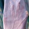 plus size midi forema dreamly colormix suga collection
